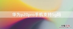 华为p20pro手机支持5g吗