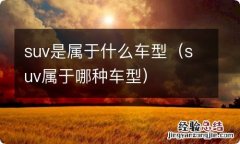 suv属于哪种车型 suv是属于什么车型