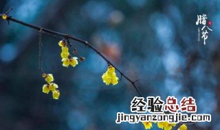 腊八节朋友圈文案句子 腊八节朋友圈文案句子简短