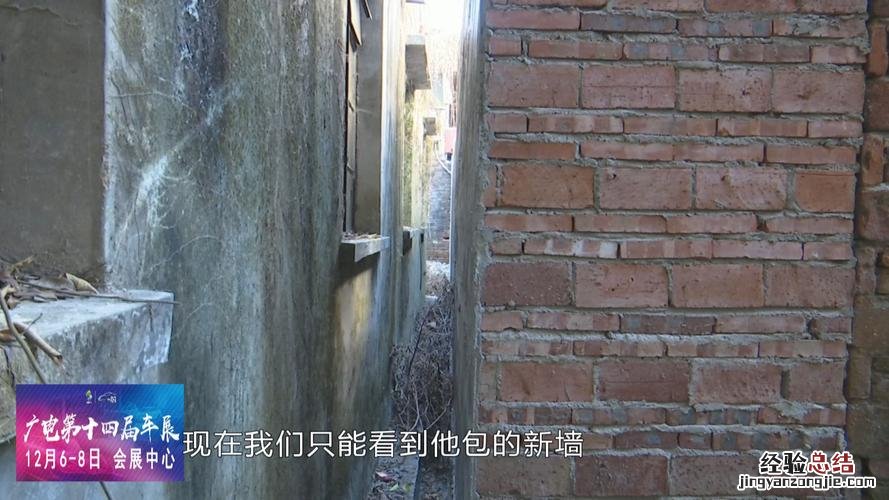 20米高的龟背竹大王， 把邻居的墙都爬满了，他用了啥猛料？