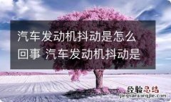 汽车发动机抖动是怎么回事 汽车发动机抖动是怎么回事儿