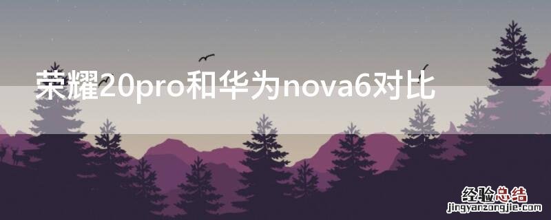 荣耀20pro和华为nova6对比