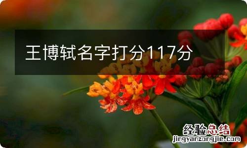 王博轼名字打分117分