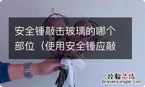 使用安全锤应敲击哪里 安全锤敲击玻璃的哪个部位