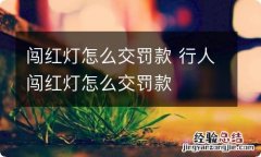 闯红灯怎么交罚款 行人闯红灯怎么交罚款