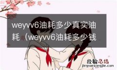 weyvv6油耗多少钱一公里 weyvv6油耗多少真实油耗