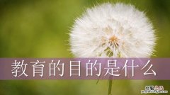 教育的概念是什么