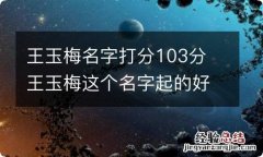 王玉梅名字打分103分 王玉梅这个名字起的好吗?