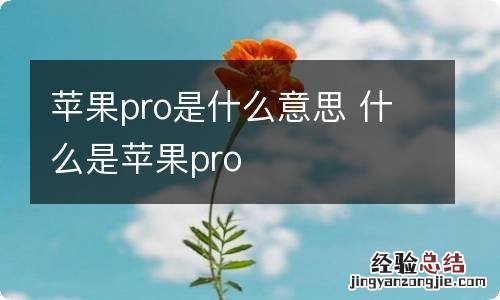 苹果pro是什么意思 什么是苹果pro