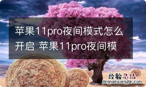 苹果11pro夜间模式怎么开启 苹果11pro夜间模式如何开启