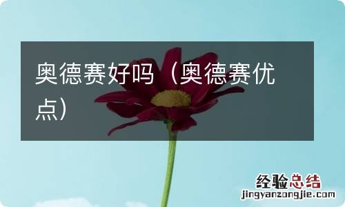 奥德赛优点 奥德赛好吗