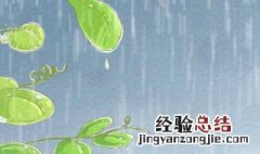 下雨防雨怎么解决 如何可以防雨