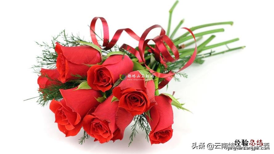 如何挑选玫瑰花