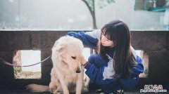 狗女人是什么意思意思