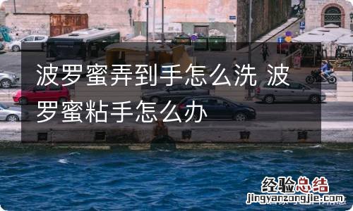 波罗蜜弄到手怎么洗 波罗蜜粘手怎么办