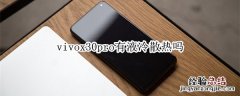 vivox30pro有液冷散热吗