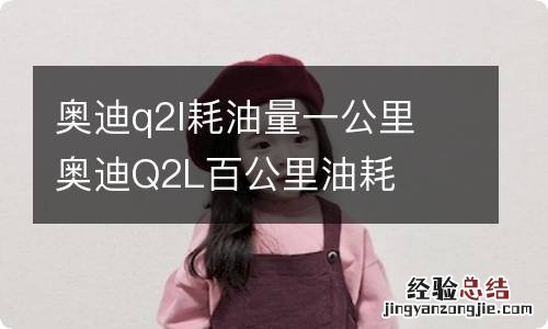 奥迪q2l耗油量一公里 奥迪Q2L百公里油耗