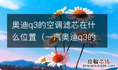 一汽奥迪q3的空调滤芯在哪里 奥迪q3的空调滤芯在什么位置