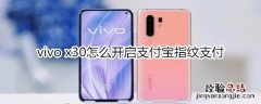 vivo x30怎么开启支付宝指纹支付