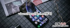 vivox30pro是oled屏吗