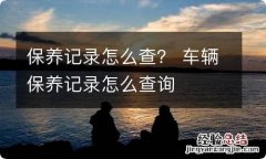 保养记录怎么查？ 车辆保养记录怎么查询