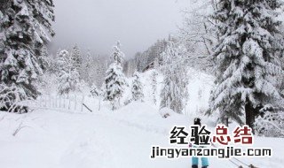 松柏雪景拍照技巧 拍雪景的妙招