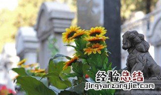 清明扫墓可以兄弟各去一次墓地吗 清明扫墓一天可以去两个地方扫墓吗