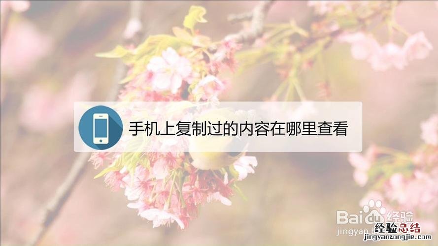 手机上复制的东西去哪里找
