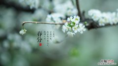 4月16日是什么日子