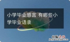 小学毕业感言 有哪些小学毕业语录