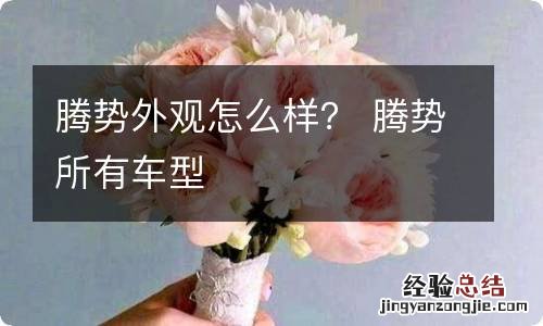 腾势外观怎么样？ 腾势所有车型