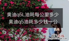 奥迪q5L油耗每公里多少 奥迪q5油耗多少钱一公里