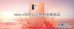 vivo x30怎么打开开发者选项