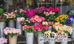 核桃坏了怎么当花肥 坏核桃怎么给花当肥料