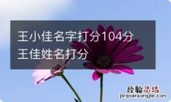 王小佳名字打分104分 王佳姓名打分