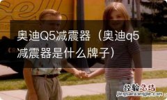 奥迪q5减震器是什么牌子 奥迪Q5减震器