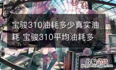 宝骏310油耗多少真实油耗 宝骏310平均油耗多少