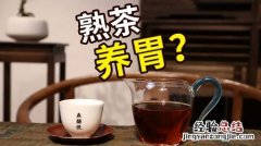 普洱茶可以做奶茶吗