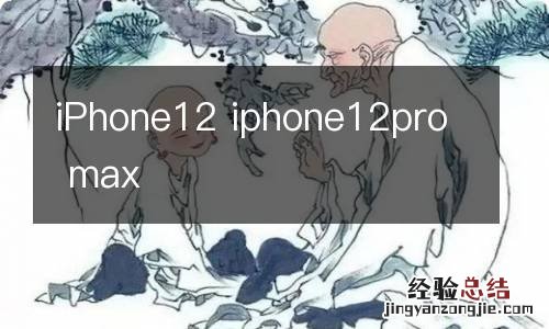 iPhone12 iphone12pro max