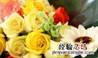 闺蜜过生日适合送什么花 生日送花搭配介绍