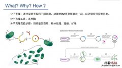 目的基因的4种获取方法