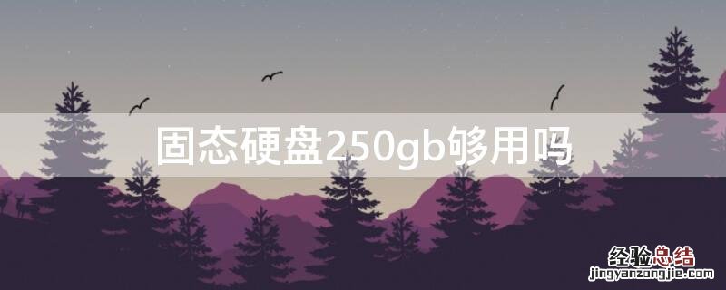 固态硬盘250gb够用吗