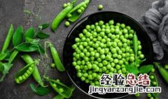 香豌豆花寓意 香豌豆花语是什么