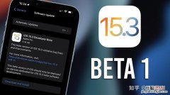 请从ios15beta版进行更新什么意思