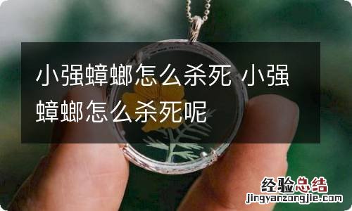 小强蟑螂怎么杀死 小强蟑螂怎么杀死呢