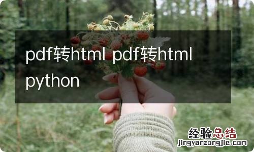 pdf转html pdf转html python