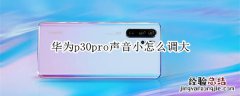 华为p30pro声音小怎么调大