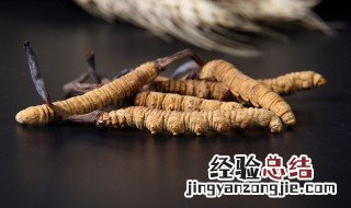 冬虫夏草保存方法和技巧 冬虫夏草保存方法和技巧图解