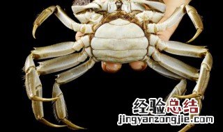 如何保存活螃蟹 保存活螃蟹的方法