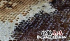 蜂蜜是从蜜蜂哪里排出来的 蜜蜂排出来的是什么